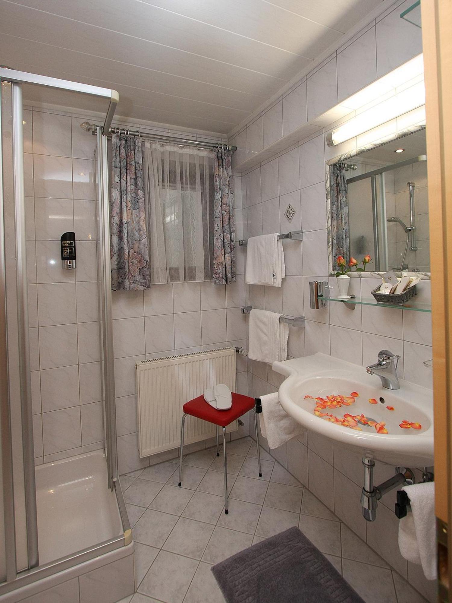 Hotel Alphotel Garni Salner 4*